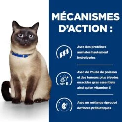 Hill's Prescription Diet Feline Z/D AB+ BOITES 24 X 156 Grs -Royal Canin Boutique 00052742039756 5 prescription diet chat z d boite