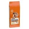 Purina Dog Chow Chien Senior 7 + Poulet 14 Kg