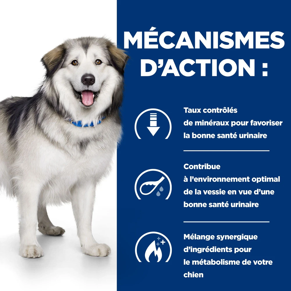 Hill's Prescription Diet C/d Multicare + Metabolic Croquettes Pour Chien 12Kg 3 Hill's Prescription Diet C/d Multicare + Metabolic Croquettes Pour Chien 12Kg – Image 3