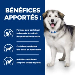 Hill's Prescription Diet C/d Multicare + Metabolic Croquettes Pour Chien 12Kg 10 Hill's Prescription Diet C/d Multicare + Metabolic Croquettes Pour Chien 12Kg -Royal Canin Boutique 52742037394 3 FR