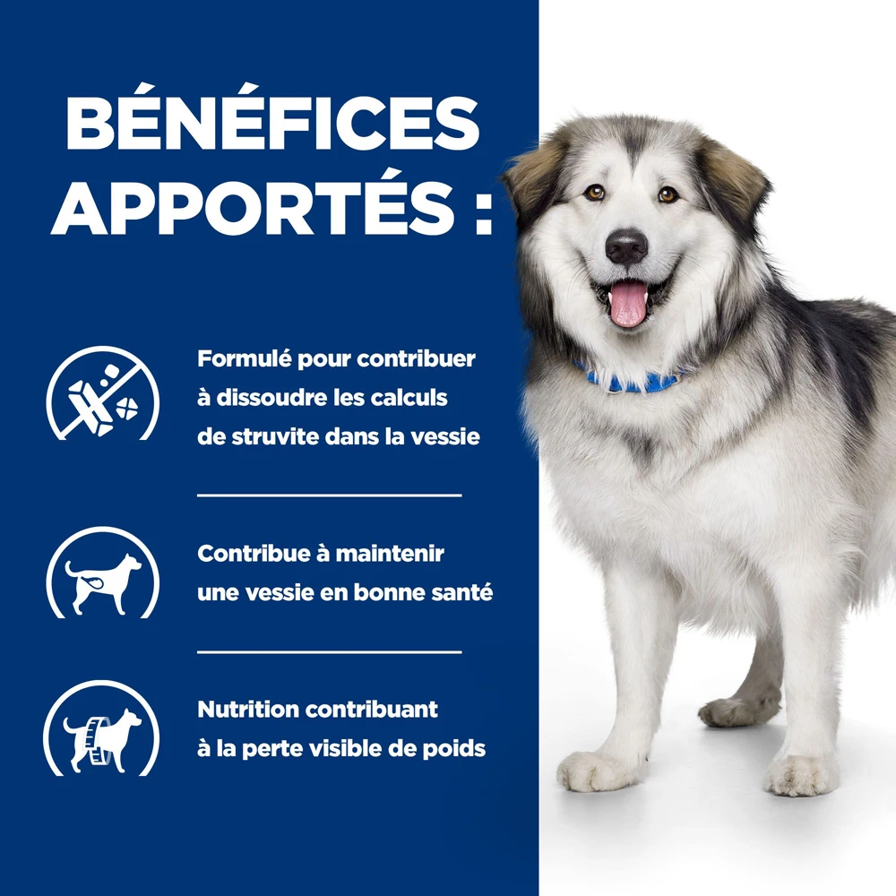 Hill's Prescription Diet C/d Multicare + Metabolic Croquettes Pour Chien 12Kg 4 Hill's Prescription Diet C/d Multicare + Metabolic Croquettes Pour Chien 12Kg – Image 4