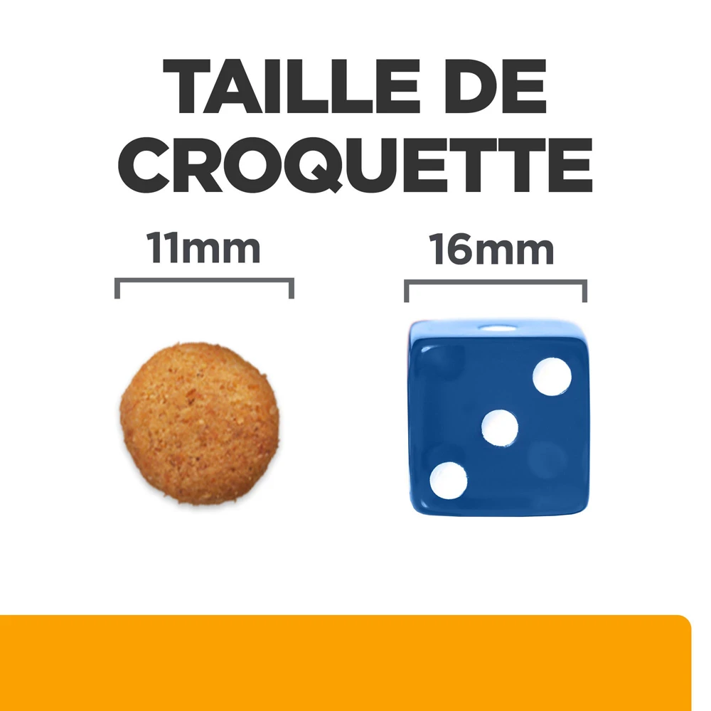Hill's Prescription Diet C/d Multicare + Metabolic Croquettes Pour Chien 12Kg 5 Hill's Prescription Diet C/d Multicare + Metabolic Croquettes Pour Chien 12Kg – Image 5