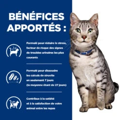 Hill's Prescription Diet C/D Urinay Stress + Metabolic Croquettes Pour Chat Au Poulet 8Kg 10 Hill's Prescription Diet C/D Urinay Stress + Metabolic Croquettes Pour Chat Au Poulet 8Kg -Royal Canin Boutique 52742037417 3 FR