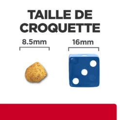 Hill's Prescription Diet C/D Urinay Stress + Metabolic Croquettes Pour Chat Au Poulet 8Kg 11 Hill's Prescription Diet C/D Urinay Stress + Metabolic Croquettes Pour Chat Au Poulet 8Kg -Royal Canin Boutique 52742037417 4 FR