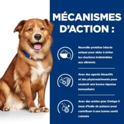 Hill's Prescription Diet Canine Derm Complete 12 Kg -Royal Canin Boutique 52742038704 5 prescription diet chien derm complete croquettes 2