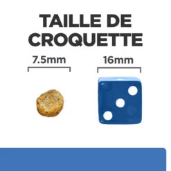 Hill's Prescription Diet Derm Complete Mini Croquettes Pour Petit Chien - 6Kg -Royal Canin Boutique 52742038797 4 FR