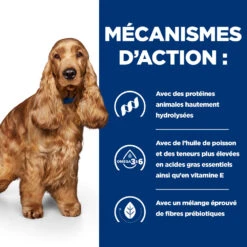 Hill's Prescription Diet Z/D Pour Chien 10kg 9 Hill's Prescription Diet Z/D Pour Chien 10kg -Royal Canin Boutique 52742040417 2 FR