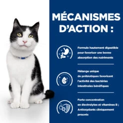 Hill's Prescription Diet I/D Digestive Croquettes Pour Chat Et Chaton Au Poulet - 3Kg -Royal Canin Boutique 52742041049 2 FR