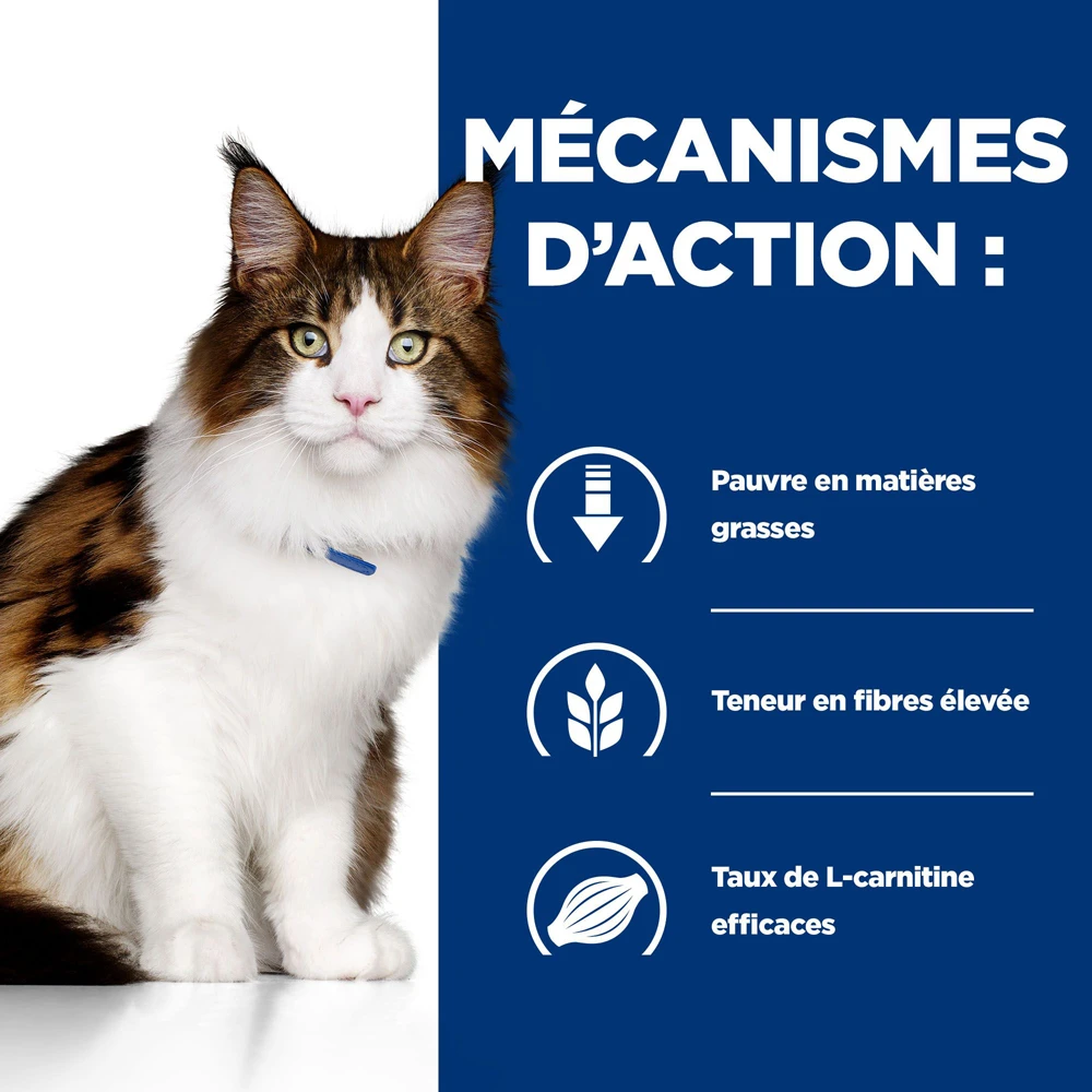 Hill's Prescription Diet W/D Multi Benefit Croquettes Pour Chat Au Poulet - 3Kg 3 Hill's Prescription Diet W/D Multi Benefit Croquettes Pour Chat Au Poulet - 3Kg – Image 3