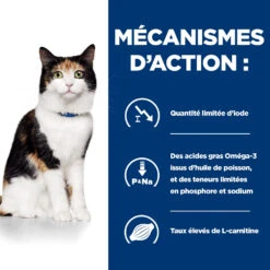Hill's Prescription Diet Y/D Thyroïd Croquettes Pour Chat Au Poulet - 3Kg -Royal Canin Boutique 52742042503 2 FR