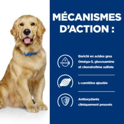 Hill's Prescription Diet J/D Mobility Croquettes Pour Chien Au Poulet - 16Kg 9 Hill's Prescription Diet J/D Mobility Croquettes Pour Chien Au Poulet - 16Kg -Royal Canin Boutique 52742045740 2 FR 1