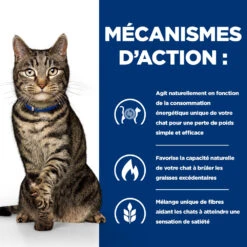 Hill's Prescription Diet Metabolic Croquettes Pour Chat Au Poulet - 3kg 9 Hill's Prescription Diet Metabolic Croquettes Pour Chat Au Poulet - 3kg -Royal Canin Boutique 52742047249 2 FR