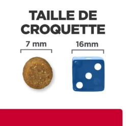Hill's Prescription Diet C/D Urinary Stress Multicare Croquettes Pour Chat Au Poisson - 8Kg -Royal Canin Boutique 52742050348 4 FR