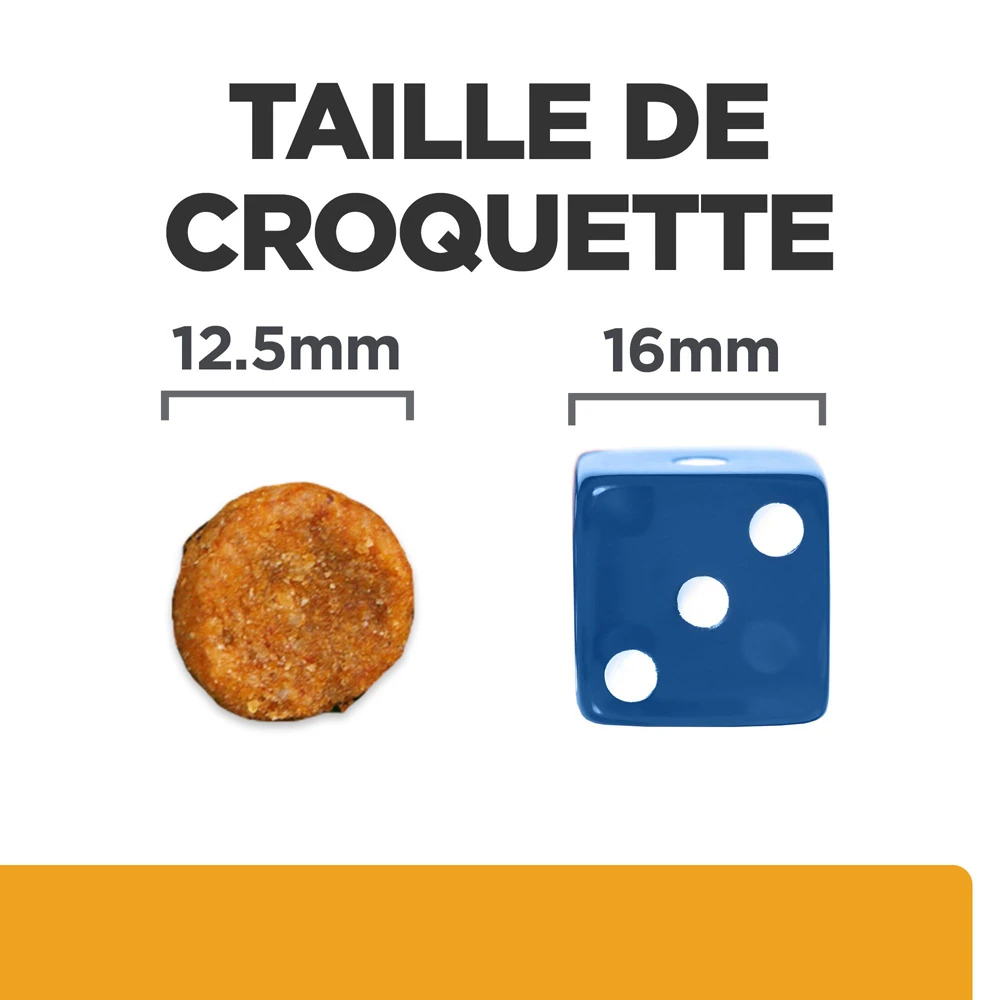 Hill's Prescription Diet C/d Multicare Croquettes Pour Chien Au Poulet 12 Kg 5 Hill's Prescription Diet C/d Multicare Croquettes Pour Chien Au Poulet 12 Kg – Image 5