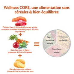 Wellness CORE - Croquettes Océan Saumon Et Thon Pour Chien - 10Kg -Royal Canin Boutique 64060
