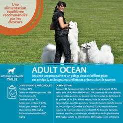 Wellness CORE - Croquettes Océan Saumon Et Thon Pour Chien - 10Kg -Royal Canin Boutique 64062