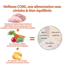 Wellness CORE - Croquettes Original Dinde Et Poulet Pour Chien - 10Kg -Royal Canin Boutique 64096