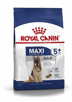 Royal Canin - Croquettes Maxi Adulte 5+ Pour Chien Adulte - 15Kg