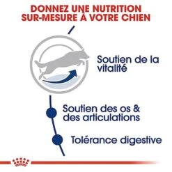 Royal Canin - Croquettes Maxi Adulte 5+ Pour Chien Adulte - 15Kg 9 Royal Canin - Croquettes Maxi Adulte 5+ Pour Chien Adulte - 15Kg -Royal Canin Boutique 66834