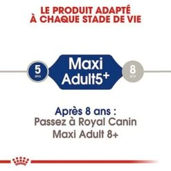 Royal Canin - Croquettes Maxi Adulte 5+ Pour Chien Adulte - 15Kg 8 Royal Canin - Croquettes Maxi Adulte 5+ Pour Chien Adulte - 15Kg -Royal Canin Boutique 66835