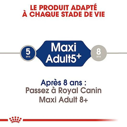 Royal Canin - Croquettes Maxi Adulte 5+ Pour Chien Adulte - 15Kg 3 Royal Canin - Croquettes Maxi Adulte 5+ Pour Chien Adulte - 15Kg – Image 3
