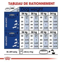 Royal Canin - Croquettes Maxi Adulte 5+ Pour Chien Adulte - 15Kg 10 Royal Canin - Croquettes Maxi Adulte 5+ Pour Chien Adulte - 15Kg -Royal Canin Boutique 66836