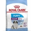 Royal Canin - Croquettes Giant Puppy Pour Chiot - 15Kg