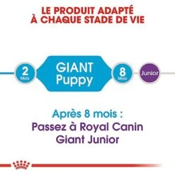 Royal Canin - Croquettes Giant Puppy Pour Chiot - 15Kg -Royal Canin Boutique 66959