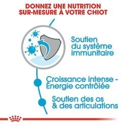 Royal Canin - Croquettes Giant Puppy Pour Chiot - 15Kg -Royal Canin Boutique 66960