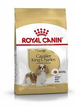 Nouveaux produits 7 Royal Canin - Croquettes Cavalier King Charles Pour Chien Adulte