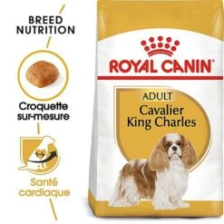 Royal Canin - Croquettes Cavalier King Charles Pour Chien Adulte -Royal Canin Boutique 67593