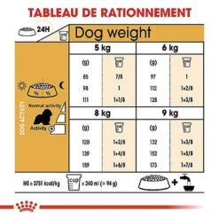 Royal Canin - Croquettes Cavalier King Charles Pour Chien Adulte -Royal Canin Boutique 67596