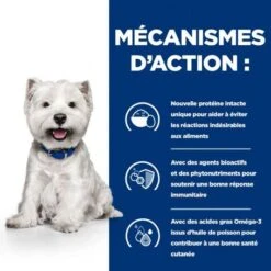 Derm Complete Mini Croquettes Pour Petit Chien -Royal Canin Boutique canine derm complete mini 3