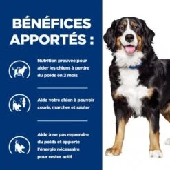 J/D Metabolic+Mobility Croquettes Pour Chien Au Poulet 12 J/D Metabolic+Mobility Croquettes Pour Chien Au Poulet -Royal Canin Boutique canine metabolicmobility 3