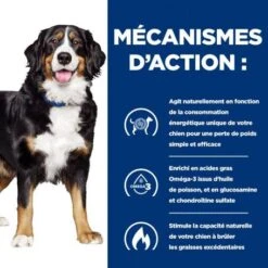 J/D Metabolic+Mobility Croquettes Pour Chien Au Poulet 13 J/D Metabolic+Mobility Croquettes Pour Chien Au Poulet -Royal Canin Boutique canine metabolicmobility 4