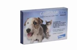 Capstar 11.4 Mg Pour Chat Et Petit Chien -Royal Canin Boutique capstar 11.4 mg pour chat et petit chien