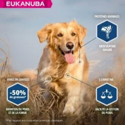 Eukanuba Chien Daily Care Surpoids Ou Stérilisé 12 Kg -Royal Canin Boutique eukanuba chien daily care surpoids ou st rilis 12 kg3