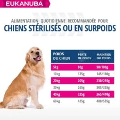 Eukanuba Chien Daily Care Surpoids Ou Stérilisé 12 Kg -Royal Canin Boutique eukanuba chien daily care surpoids ou st rilis 12 kg6