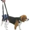 Harnais Handy Canis Pattes Arrières XL