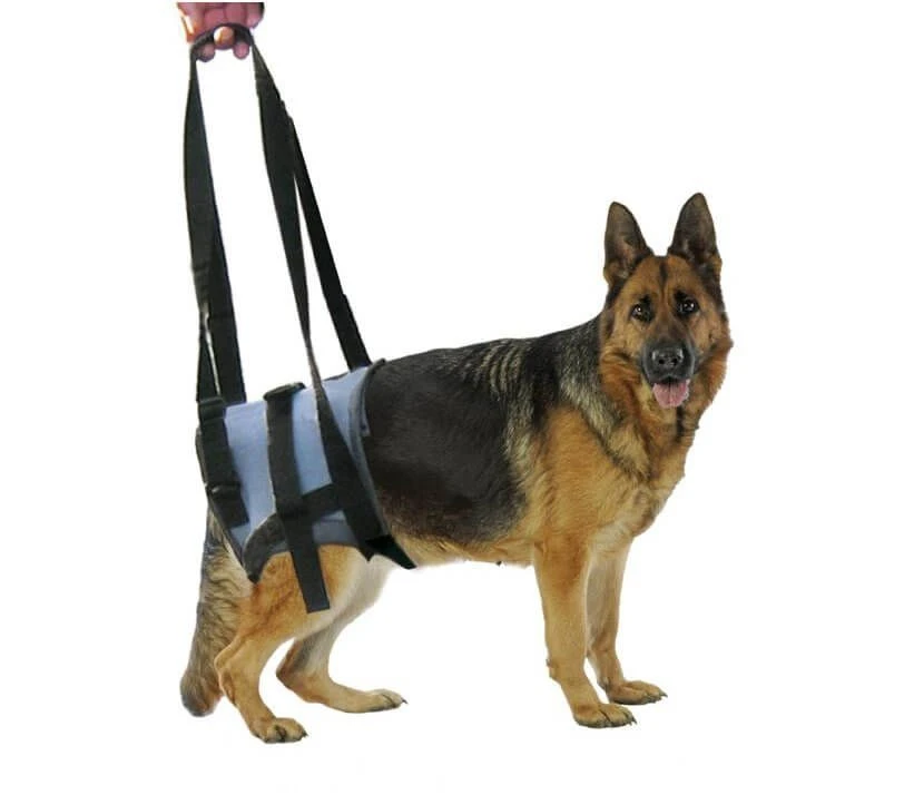 Harnais Handy Canis Pattes Arrières XL 4 Harnais Handy Canis Pattes Arrières XL – Image 4