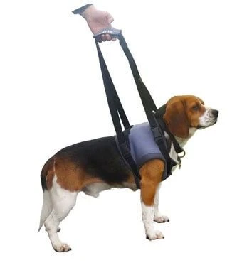 Harnais Handy Canis Pattes Avants L 3 Harnais Handy Canis Pattes Avants L – Image 3