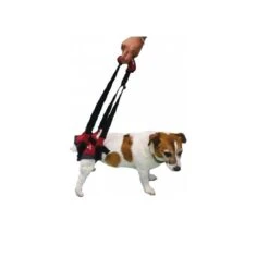 Harnais Handy Canis Pattes Arrières XL 12 Harnais Handy Canis Pattes Arrières XL -Royal Canin Boutique harnais handy canis pattes arri res 4