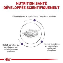 Royal Canin Vet Chat Neutered Satiety Balance 8 Kg 11 Royal Canin Vet Chat Neutered Satiety Balance 8 Kg -Royal Canin Boutique royal canin vet chat neutered satiety balance 8 kg 3