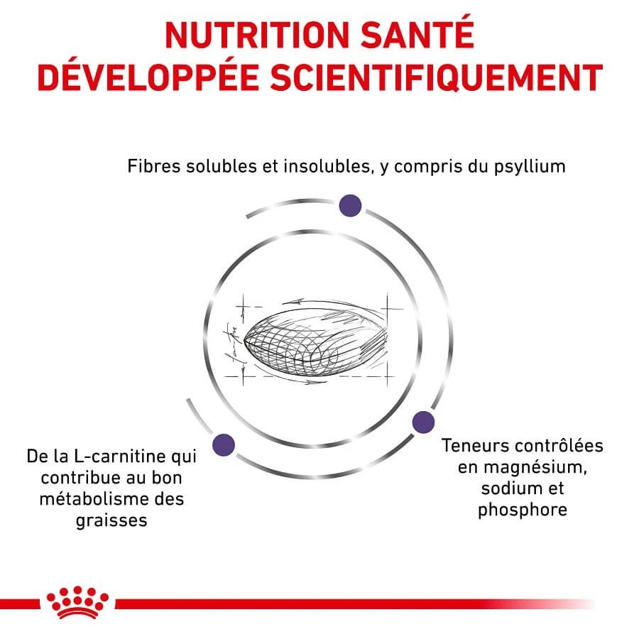 Royal Canin Vet Chat Neutered Satiety Balance 8 Kg 3 Royal Canin Vet Chat Neutered Satiety Balance 8 Kg – Image 3