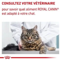 Royal Canin Vet Chat Neutered Satiety Balance 8 Kg 17 Royal Canin Vet Chat Neutered Satiety Balance 8 Kg -Royal Canin Boutique royal canin vet chat neutered satiety balance 8 kg 9