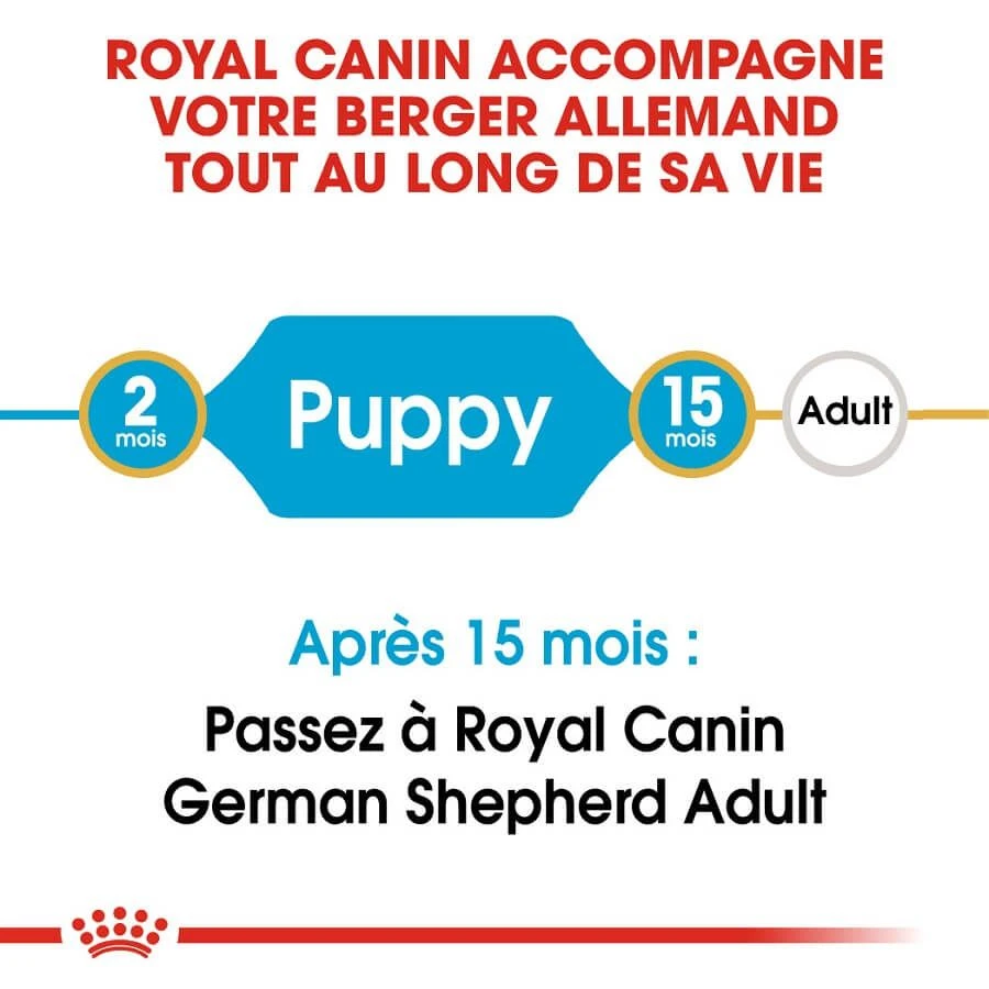 Royal Canin Berger Allemand Puppy 12 Kg 2 Royal Canin Berger Allemand Puppy 12 Kg – Image 2