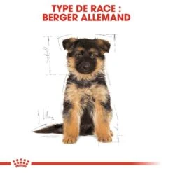 Royal Canin Berger Allemand Puppy 12 Kg 12 Royal Canin Berger Allemand Puppy 12 Kg -Royal Canin Boutique royal canin berger allemand junior 6 1