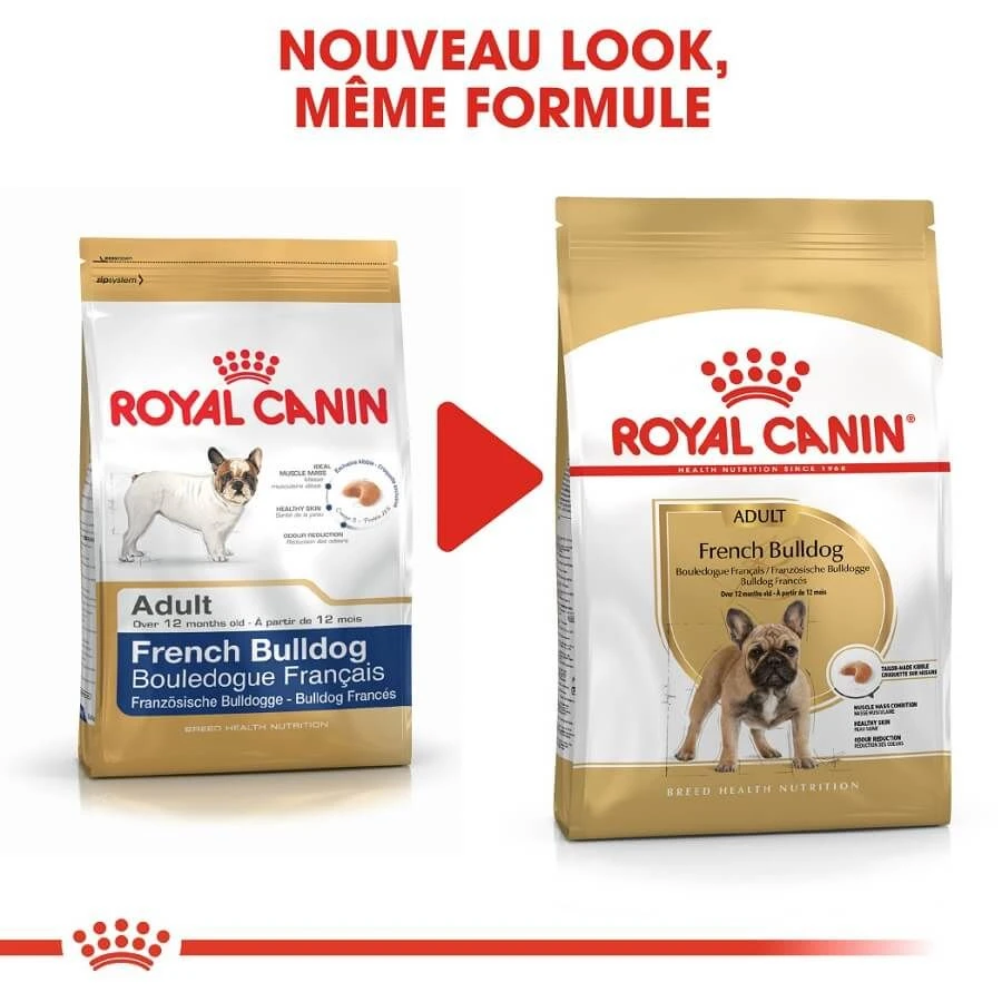 Royal Canin Bouledogue Français Adult 9 Kg 2 Royal Canin Bouledogue Français Adult 9 Kg – Image 2