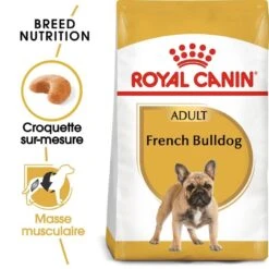 Royal Canin Bouledogue Français Adult 9 Kg 9 Royal Canin Bouledogue Français Adult 9 Kg -Royal Canin Boutique royal canin bouledogue fran ais adult 2 2