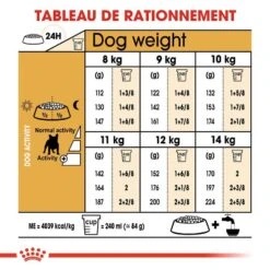 Royal Canin Bouledogue Français Adult 9 Kg 12 Royal Canin Bouledogue Français Adult 9 Kg -Royal Canin Boutique royal canin bouledogue fran ais adult rationnement 1 1